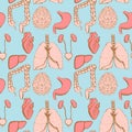 Sketch internal organs in vintage style Royalty Free Stock Photo