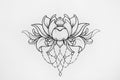 Sketch of a lotus on white background.