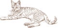 Sketch of a lying striped cat