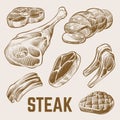 Sketch meat, hand drawn steak vector set