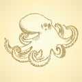 Sketch octopus, vector background Royalty Free Stock Photo