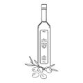 Sketch Olive Oil Bottle. Vector Hand Drawn Illustrastration