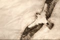 Sketch of an Osprey Hunting on the Wing in a Blue Sky Royalty Free Stock Photo