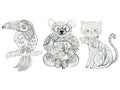 Sketch outline etnic coloring book panda cat Hornbill bird animal art Russian moscow east folk elements pencil