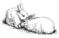 Sketch of pair cute loving fluffy white rabbits sitting in grass