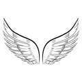 Sketch of a pair of white wings. Vector illustration. Hand drawing