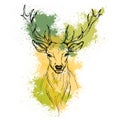 Sketch by pen Noble deer front view on the background