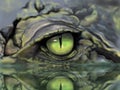 Sketch picture eye of crocodile