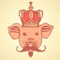 Sketch pig in crown with mustache, vector background Royalty Free Stock Photo