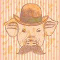 Sketch pig in hat with mustche, vector ackground Royalty Free Stock Photo