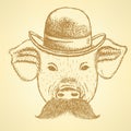 Sketch pig in hat with mustche, vector ackground Royalty Free Stock Photo