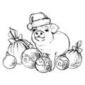 Sketch pig in Santa`s hat with Christmas balls.