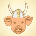 Sketch pig in the viking helmet