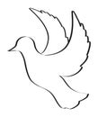 Sketch of pigeon bird flying, Hand drawn vector illustration