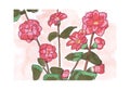 Sketch pink flowers camelia on branches with leaves