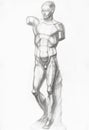 Sketch of plaster cast anatomical ecorche figure