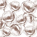 Sketch poppy, vector vintage seamless pattern