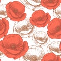 Sketch poppy, vintage seamless pattern