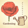 Sketch poppy and watering can, vector background