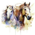 Majestic Mustang Stallion Sketch Royalty Free Stock Photo