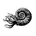 Sketch of prehistoric ammonite. Extinct marine mollusc. Hand drawn vector illustration. Royalty Free Stock Photo