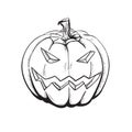 Sketch Pumpkin.