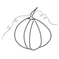 Sketch pumpkin isolated halloween