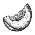 Sketch of pumpkin slices.Doodle style. Drawing of a piece of ripe pumpkin with seeds with hatching and texture. Hand drawn and Royalty Free Stock Photo