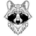 Sketch raccoon face. Hand drawn vector doodle