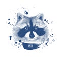 Sketch raccoon face