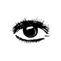 Sketch of a realistic eye. Vector illustration. Drawing by hand. Royalty Free Stock Photo