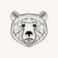 Sketch realistic face Bear. Hand drawn