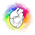 Sketch of realistic heart on rainbow watercolor splashes background. Lgbt love. Different love. Organ anatomy. Vector illustration Royalty Free Stock Photo