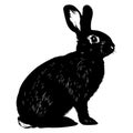 Sketch Realistic Rabbit Silhouette Illustration. Furry Easter Bunny Black Ink Silhouette on White Background.