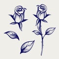 Sketch rose flower, bud and leaves