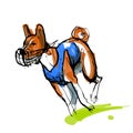 Sketch of running basenji in blue coursing dress