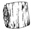 A sketch of a sawn tree. The STUMP of a hand-drawn tree with a bark texture in a realistic style. sawn wood side view kara black