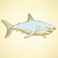 Sketch scary shark in vintage style