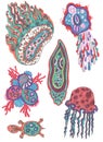 Sketch of sea creatures life elements doodles tungles Royalty Free Stock Photo