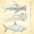 Sketch sea creatures in vintage style Royalty Free Stock Photo