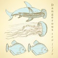 Sketch sea creatures in vintage style