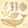 Sketch sea creatures in vintage style Royalty Free Stock Photo