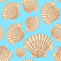 Sketch sea shell in vintage style Royalty Free Stock Photo