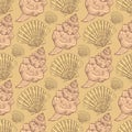 Sketch sea shell in vintage style Royalty Free Stock Photo