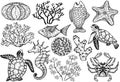 Sketch of sea shells, fish, corals and turtle. Hand Drawn vector illustration. Royalty Free Stock Photo