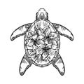 Sketch Sea Turtle with lilies. Vector Hand Drawn Illustration of Eretmochelys Imbricata