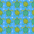 Sketch sea turtle pattern