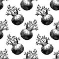 Sketch seamless pattern Kohlrabi Cabbage on White Background