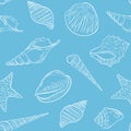 Sketch seashells seamless pattern vector illustration.