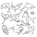 Sketch, a set of drawn contour sea animals, sharks, dolphins, whales, rays and jellyfish, for coloring book. Royalty Free Stock Photo